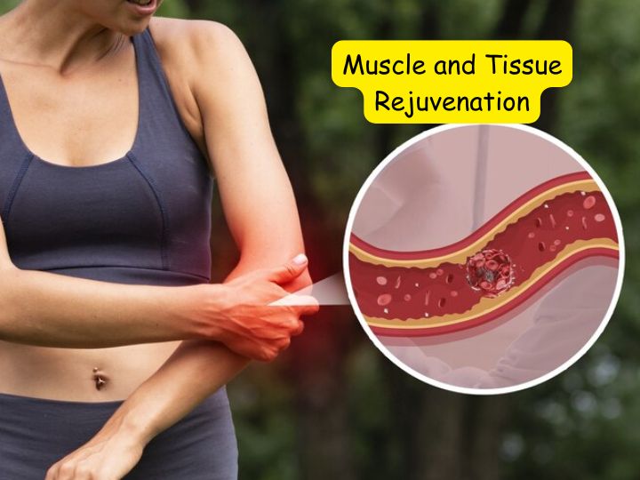 Muscle and Tissue Rejuvenation by massage session 